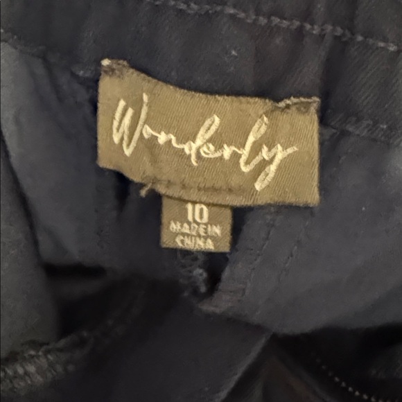 Wonderly Women's Button Front Trouser Pants 10A - Picture 10 of 11